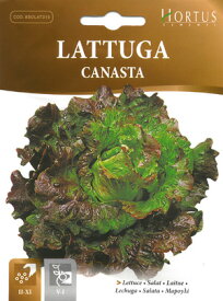 【イタリアの野菜の種】Hortus社　レタス（ラトゥーガ）・ベラノカナスタ 《固定種》BSOLAT315
