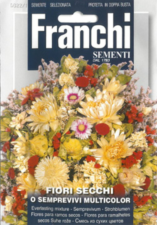 楽天市場 イタリアの花の種 Franchi社 エバーラスティング O Semprevivi Multicolor 322 1 ミセスリビング 楽天市場 イタリアの花の種 Franchi社 エバーラスティング O Semprevivi Multicolor 322 1 ミセスリビング