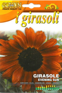 yC^ȂԂ̎zFRANCHIЁsG Ltq}EEVENING SUN@[329/12]