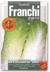 yC^A̖؂̎zFRANCHIЁ@XyVZNV@[t`R[EPAN DI ZUCCHERO SEL. "BORCA"sŒt40/49@VK[[t@ "{J"@C^AőlC̕iII