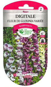 ytX̉Ԃ̎zCATROSЁ@WM^X FOXGLOVE@[c555]