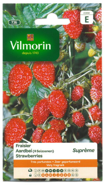楽天市場 フランス野菜の種 四季なりイチゴdes4 Saisons Supremeストロベリー V 736 Vilmorin社 いちごの種 ミセスリビング