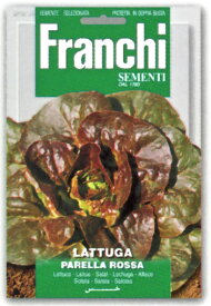 【イタリアの野菜の種】　FRANCHI社　【レタス・PARELLA ROSSA】