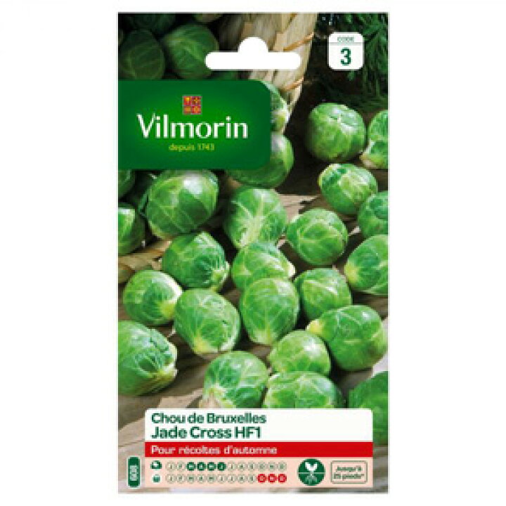 楽天市場 フランス野菜の種 Vilmorin社 芽キャベツ ブリュッセルスプラウト Sanda 固定種 V ８４３ ミセスリビング
