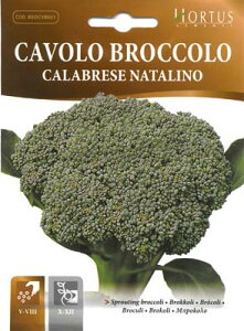 yC^A̖؂̎z HortusЁ@ubR[EJu[[iFi^[mjCOD.BSOCVB001sŒt