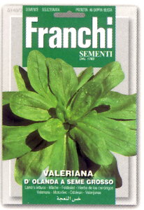 yC^A̖؂̎zFRANCHIЁ@}[VED'OLANDA A SEME GROSSO@140/3sŒt