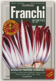 【イタリアの野菜の種】FRANCHI社スペシャルセレクション　リーフチコリー・ROSSA DI TREVISO(TARDIVA)