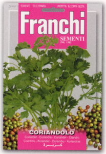 yC^Ãn[u̎zFRANCHIЁ@RA_[ipN`[A`TCj44/1sŒtisNxj