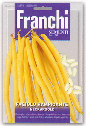 楽天市場 イタリアの野菜の種 Franchi社 ツルありインゲン Neckargold 固定種 58 16 ミセスリビング