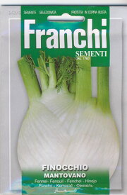 【イタリアの野菜の種】FRANCHI社 フェンネル　MANTOVANO 　FRANCHI社 ［62/6］