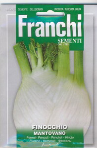 yC^A̖؂̎zFRANCHI tFl@MANTOVANO m62/6n