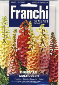 【イタリアの草花の種】FRANCHI社　ジギタリス　マルチカラー31720