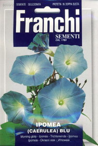 【イタリアの花の種】FRANCHI社　ヘブンリーブルー西洋朝顔333/2　美しい緑のカーテン　秋に咲くあさがお