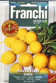 【イタリアの野菜の種】FRANCHI社　ゴールデンラディッシュ　　112/36《固定種》