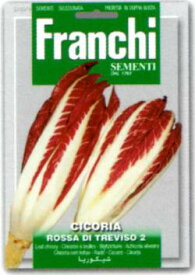 【イタリアの野菜の種】FRANCHI社　リーフチコリROSSA DI　TOREVISO2