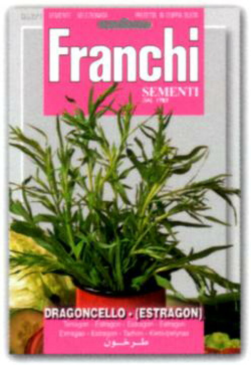 楽天市場 franchi社イタリアのハーブの種 エストラゴン ミセスリビング 楽天市場 franchi社イタリアのハーブの種 エストラゴン ミセスリビング