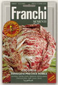 【イタリアの野菜の種】FRANCHI社　リーフチコリー・VARIEGATA PRECOCE ROMEA　ロメア