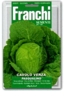 yC^A̖؂̎zFRANCHIЁ@T{CLxc PASQUALINO@33/1sŒt