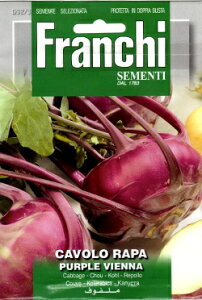 【イタリアの野菜の種】　Franchi社　コールラビ・PURPLE VIENNA