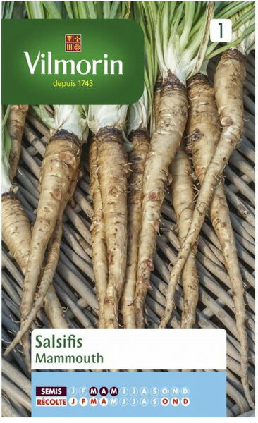 楽天市場 Vilmorin社 フランス野菜の種 ホワイトサルシフィ 西洋ごぼう Salsifis Mammouth V 597 ミセスリビング