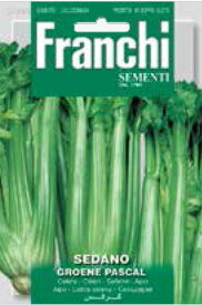 【イタリアの野菜の種】FRANCHI社 　セルリー・GROENE　PASCAL　セロリ124/6