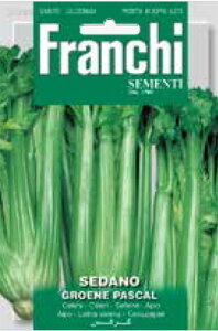 yC^A̖؂̎zFRANCHI @Z[EGROENE@PASCAL@Z124/6