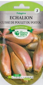 【フランスの野菜の種】CATROS社 　エシャロット154　《固定種》美食家に愛される逸品！赤皮が美しい仏産エシャロット
