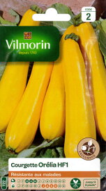 【フランス野菜の種】Vilmorin社　ズッキーニ Orelia HF1　オレリア《F1種》　v715