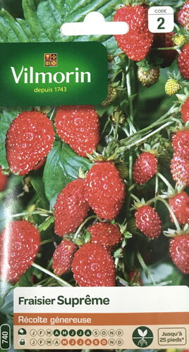 楽天市場 Vilmorin社 フランス野菜の種 イチゴ 四季なりイチゴ Supremeストロベリー V Strawberry1 736 ミセスリビング