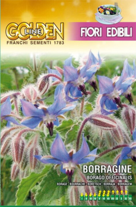 楽天市場 イタリアの花の種 Franchi社 Gl エディブルフラワー ボリジ Borago Officinalis Glfe 16 3 ミセスリビング