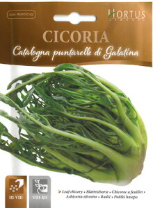 yC^A̖؂̎zHortusЁ@v^biAXpKX`R[j@BSOCIC102@Œ