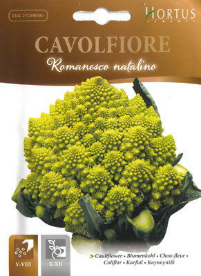 楽天市場 イタリアの野菜の種 カリフラワー ロマネスコ 黄緑サンゴ ロマネスコナタリー 210日 中晩生 果重1 1 1 2kg 固定種 Hortus社 Bsocvf014 ミセスリビング 楽天市場 イタリアの野菜の種 カリフラワー ロマネスコ 黄緑サンゴ ロマネスコナタリー 210日 中晩生 果重1 1 1 2kg 固定種 Hortus社 Bsocvf014 ミセスリビング