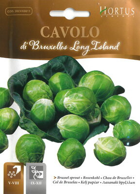 楽天市場 イタリアの野菜の種 芽キャベツ ブリュッセルスプラウト ロングアイランド 固定種 Bsocvx001 Hortus社 ミセスリビング
