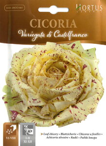 yC^A̖؂̎zHortusЁ@[t`R[@hJXetRhsŒt[BSOCIC 012]