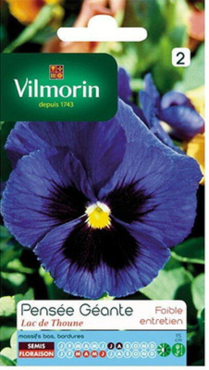 楽天市場 フランス花の種 エディブルフラワー パンジー 紫 Giant Lake Of Thun 固定種 V 2f Vilmorin社 ミセスリビング