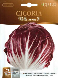 �y�C�^���A�̖�؂̎�zHortus�Ё@���[�t�`�R���[�E�p�� ���b�T3�@COD.BSOCICO019�s�Œ��t