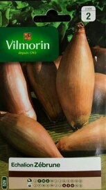 【フランス野菜の種】Vilmorin社　エシャロット　Zebrune　《固定種》v-Echa-643