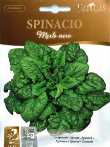 yC^A̖؂̎zHortusЁ@zE\EEMerlo nerosŒtcod.BSOSP006