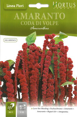 楽天市場 イタリアの草花の種 アマランサス ヒモゲイトウ A074 ミセスリビング