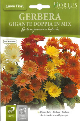 楽天市場 イタリア花の種 Hortus社 ガーベラ Bgfgrb001 ミセスリビング