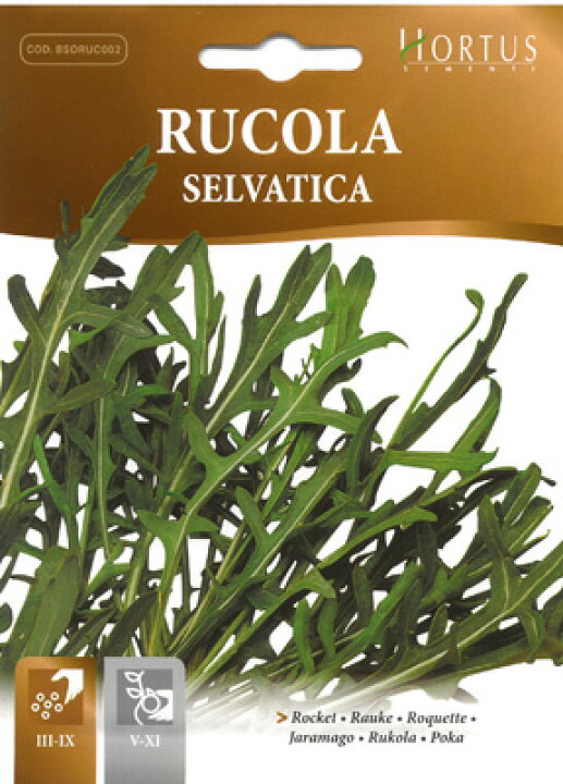 楽天市場 イタリアのハーブの種 ワイルドルッコラ ロケット Selvatica セルバチカ Hortus社 ミセスリビング