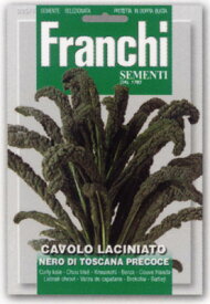 【イタリアの野菜の種】FRANCHI社 カーボロネロ（黒キャベツ）[35/7] 《固定種》