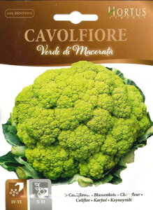 yC^A̖؂̎zHortus Jt[E}Z[^ 190E/ʏd1.4-1.6kg yŒzCVF016@ΐF̃Jt[