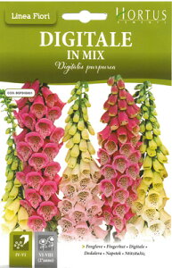 yC^ȂԂ̎zHortusЁ@WM^X@ BGFDIG001