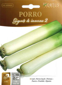 【イタリアの野菜の種】Hortus社　リーキ（ポロネギ） 冬のジャイアント《固定種》005