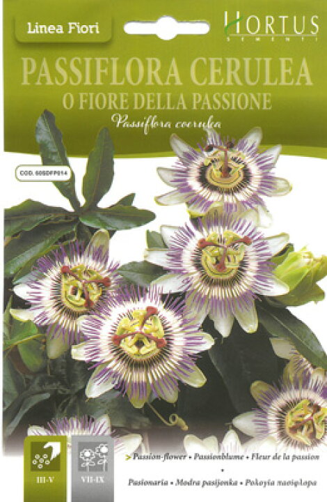 楽天市場 イタリアの草花の種 トケイソウ Hortus社 Cod Bgfpai001 ミセスリビング