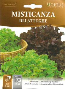 【イタリアの野菜の種】Hortus社 レタスミックスBSOMST002