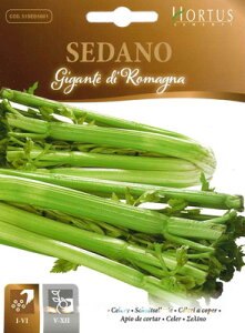 yC^A̖؂̎zHortusЁ@Z[E}[jyŒz[COD.BSOSED009]