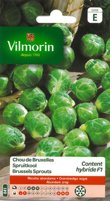 楽天市場 フランス野菜の種 Vilmorin社 ブリュッセルスプラウト Content Hybride Hf1 小さなキャベツv 841 ミセスリビング