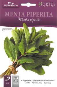 �y�C�^���A�̃n�[�u�̎�zHortus�Ё@�y�p�[�~���g�@Mentha piperita�@COD.BGAMEP001�s�Œ��t�������A�K���A�L�����f�B�[�ȂǁA�ł��g�߂Ő������̂���n�[�u��1�ł��B